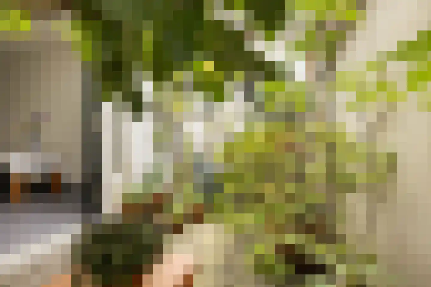Eerste Bloemdwarsstraat 18 A Amsterdam thumbnail 9