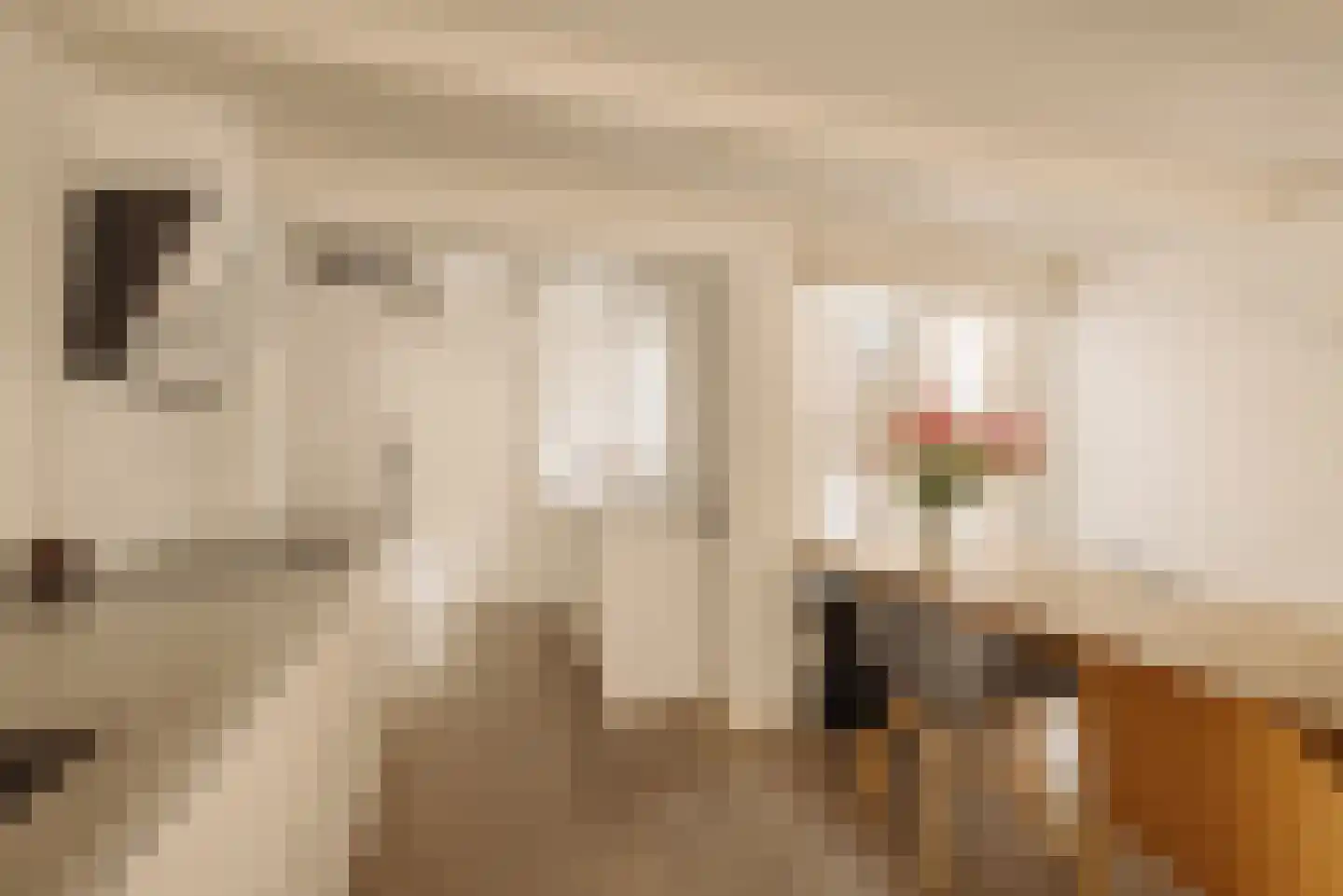 Eerste Bloemdwarsstraat 9 1 Amsterdam thumbnail 11