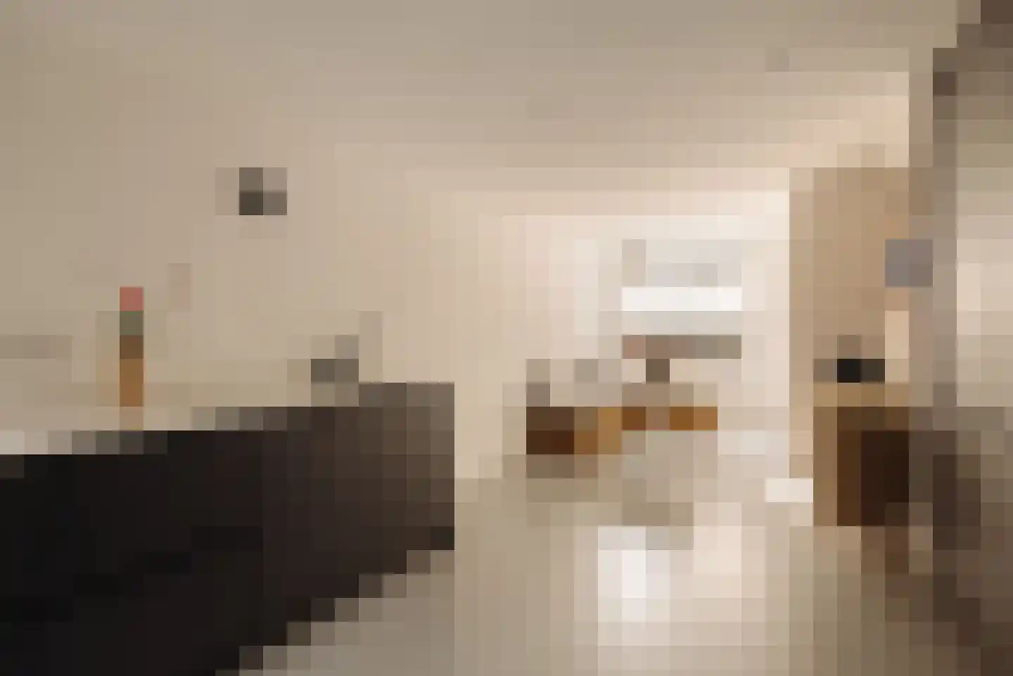 Eerste Bloemdwarsstraat 9 1 Amsterdam thumbnail 16