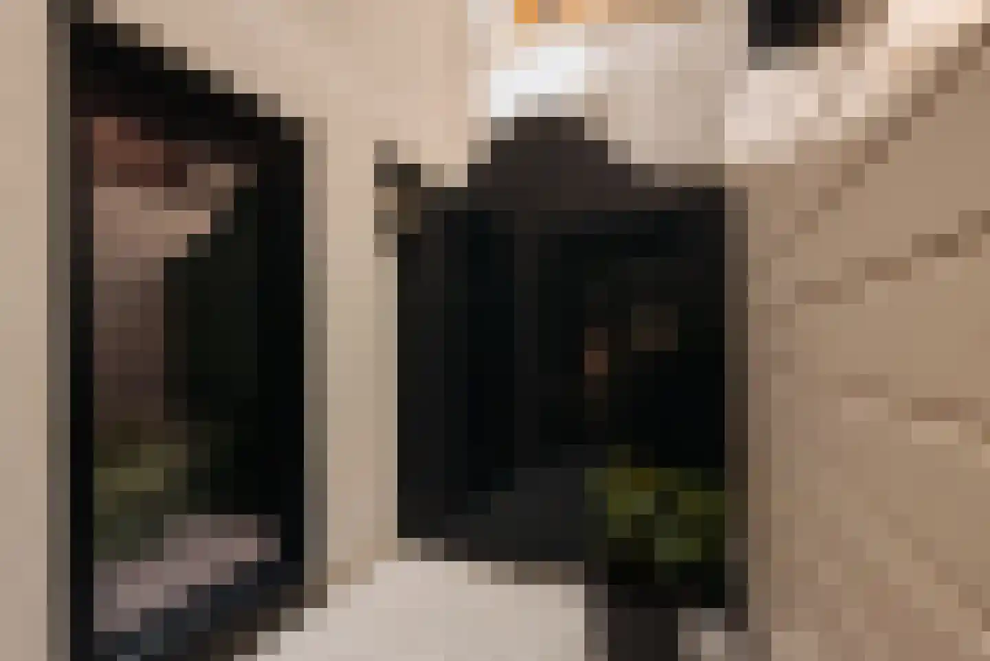 Eerste Bloemdwarsstraat 9 1 Amsterdam thumbnail 21