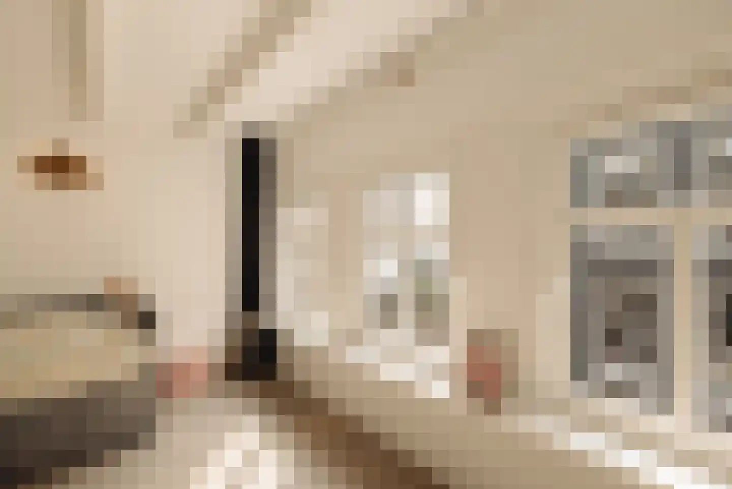 Eerste Bloemdwarsstraat 9 1 Amsterdam thumbnail 29