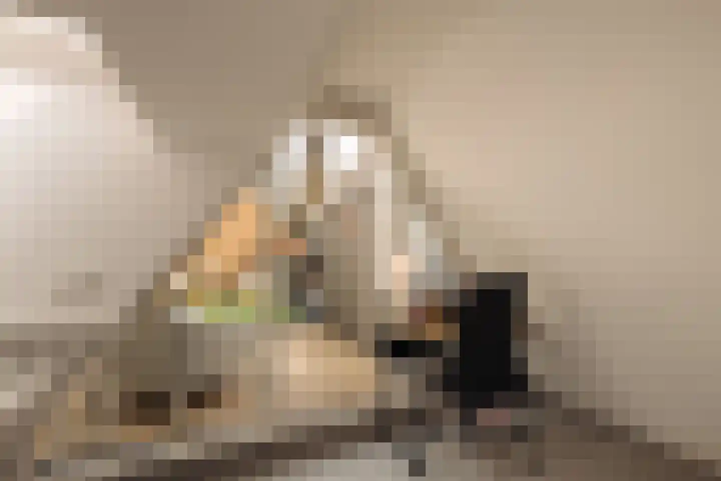 Eerste Bloemdwarsstraat 9 1 Amsterdam thumbnail 36