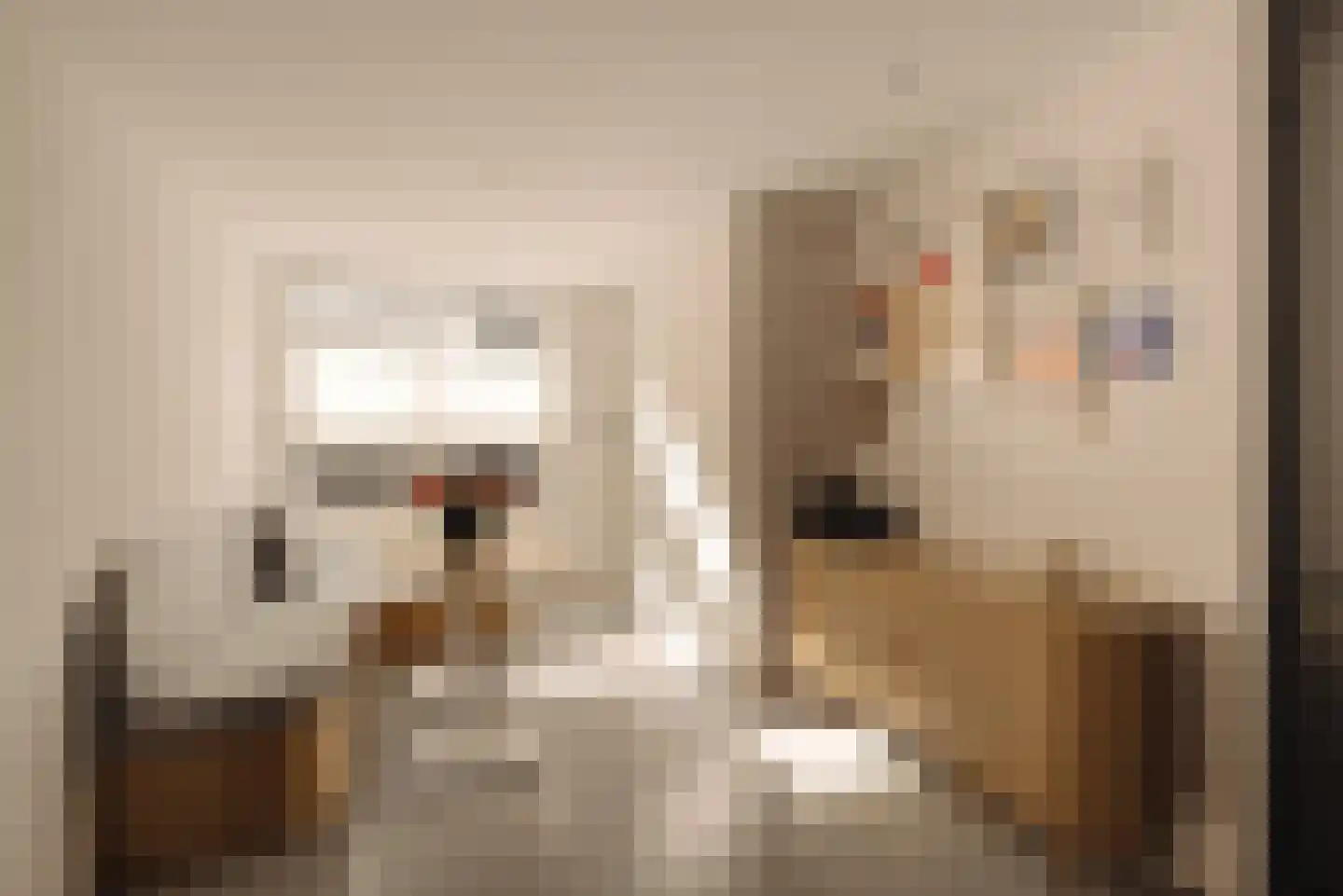 Eerste Bloemdwarsstraat 9 1 Amsterdam thumbnail 4