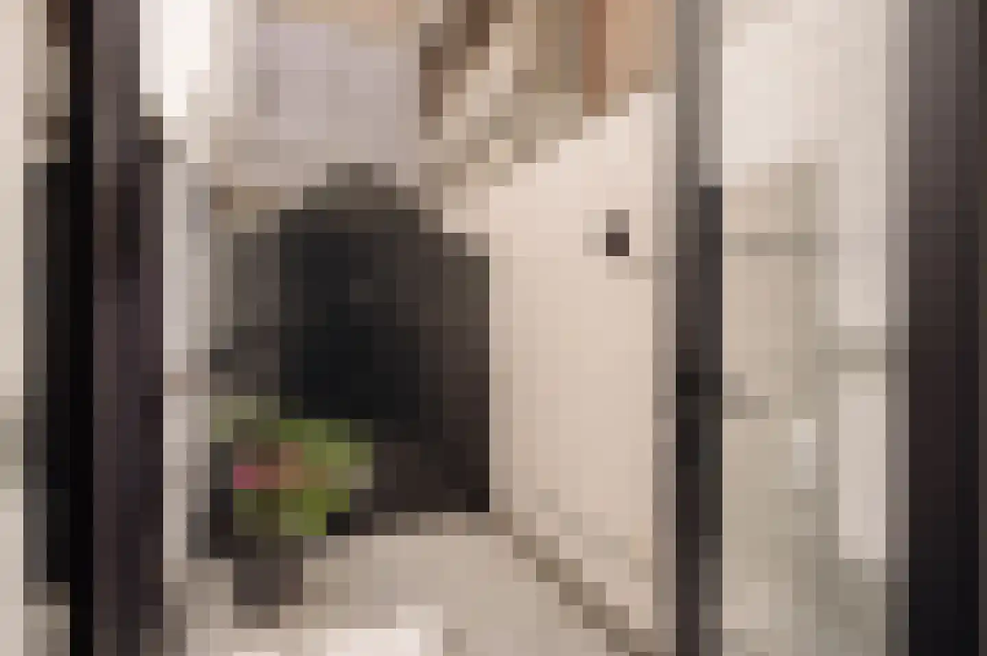 Eerste Bloemdwarsstraat 9 H Amsterdam thumbnail 14