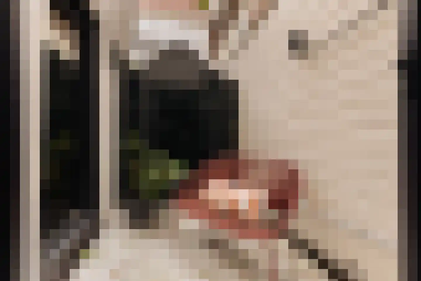 Eerste Bloemdwarsstraat 9 H Amsterdam thumbnail 14