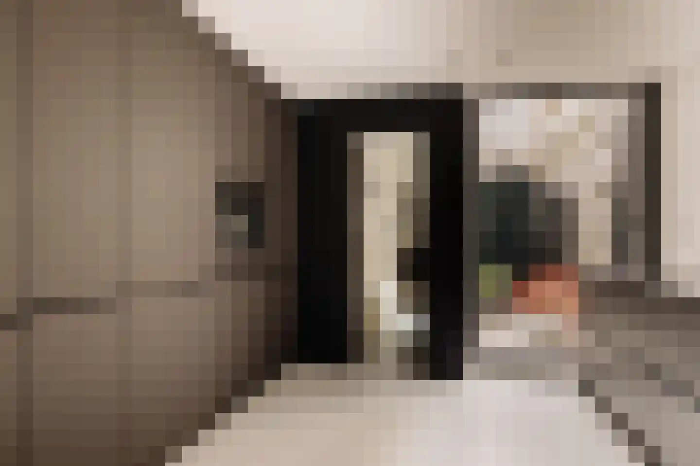 Eerste Bloemdwarsstraat 9 H Amsterdam thumbnail 15