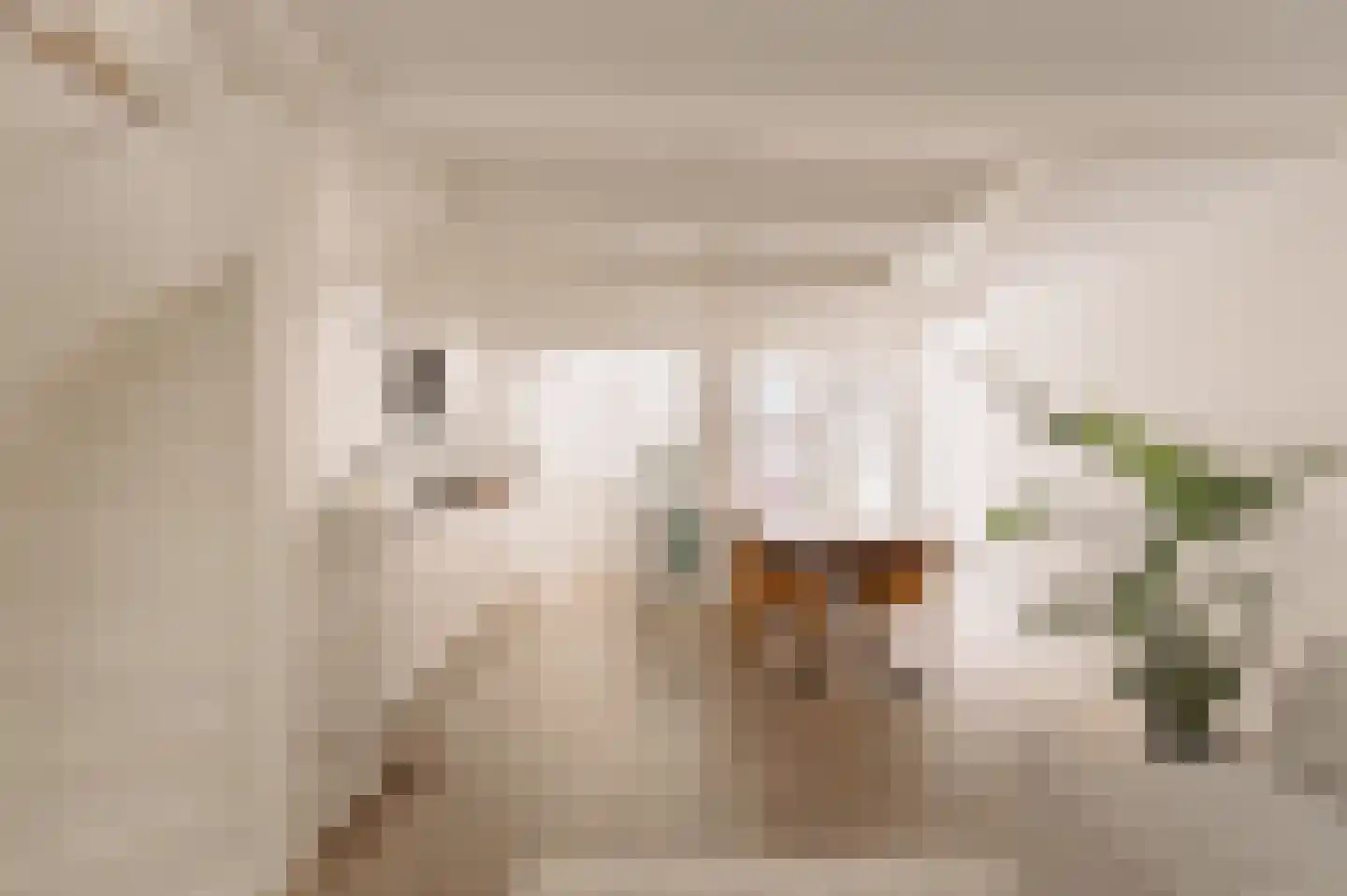Eerste Bloemdwarsstraat 9 H Amsterdam thumbnail 19