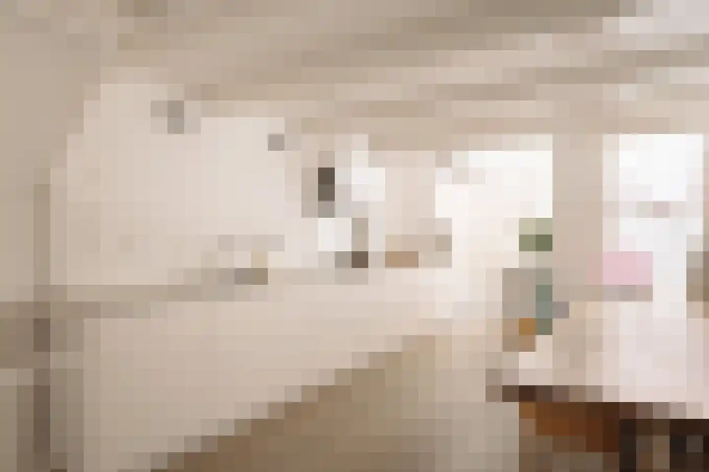 Eerste Bloemdwarsstraat 9 H Amsterdam thumbnail 20