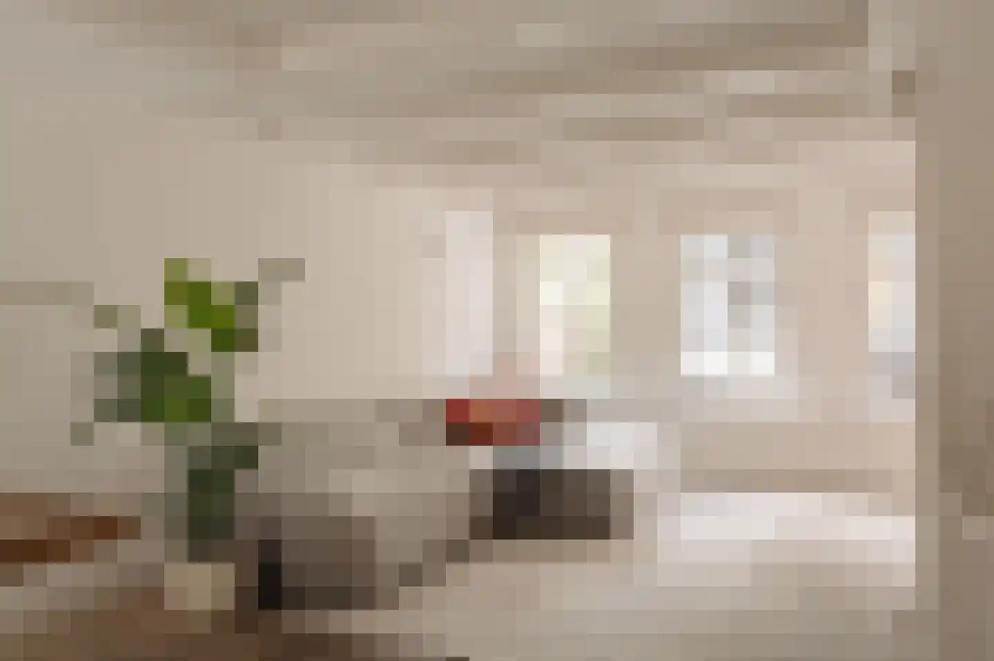 Eerste Bloemdwarsstraat 9 H Amsterdam thumbnail 21