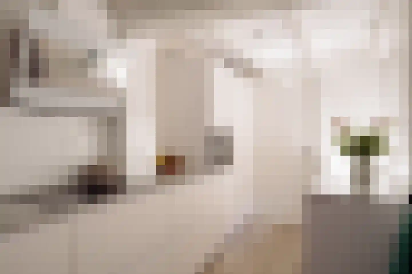 Eerste Bloemdwarsstraat 9 H Amsterdam thumbnail 22