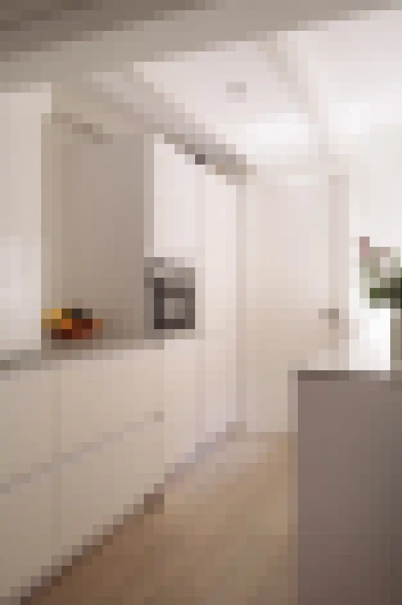 Eerste Bloemdwarsstraat 9 H Amsterdam thumbnail 23