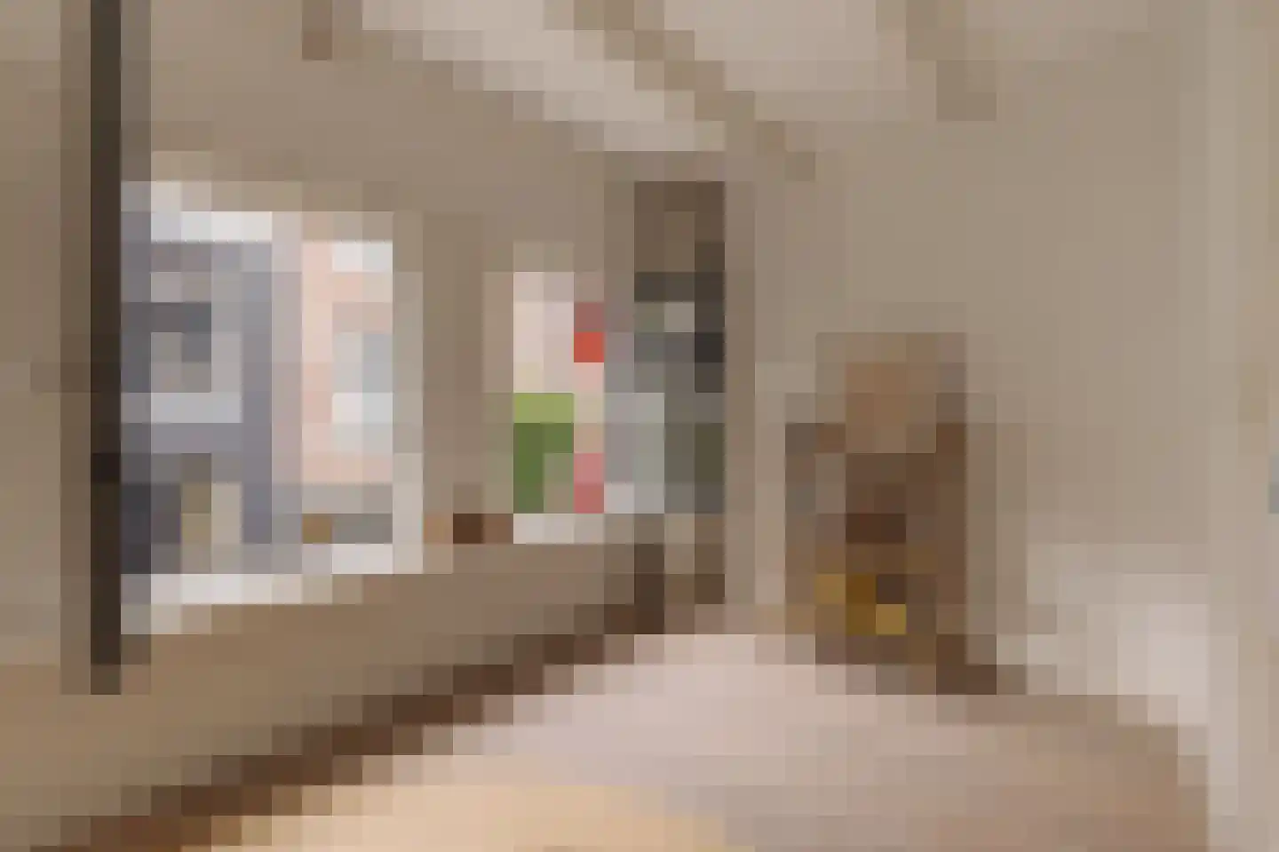 Eerste Bloemdwarsstraat 9 H Amsterdam thumbnail 27