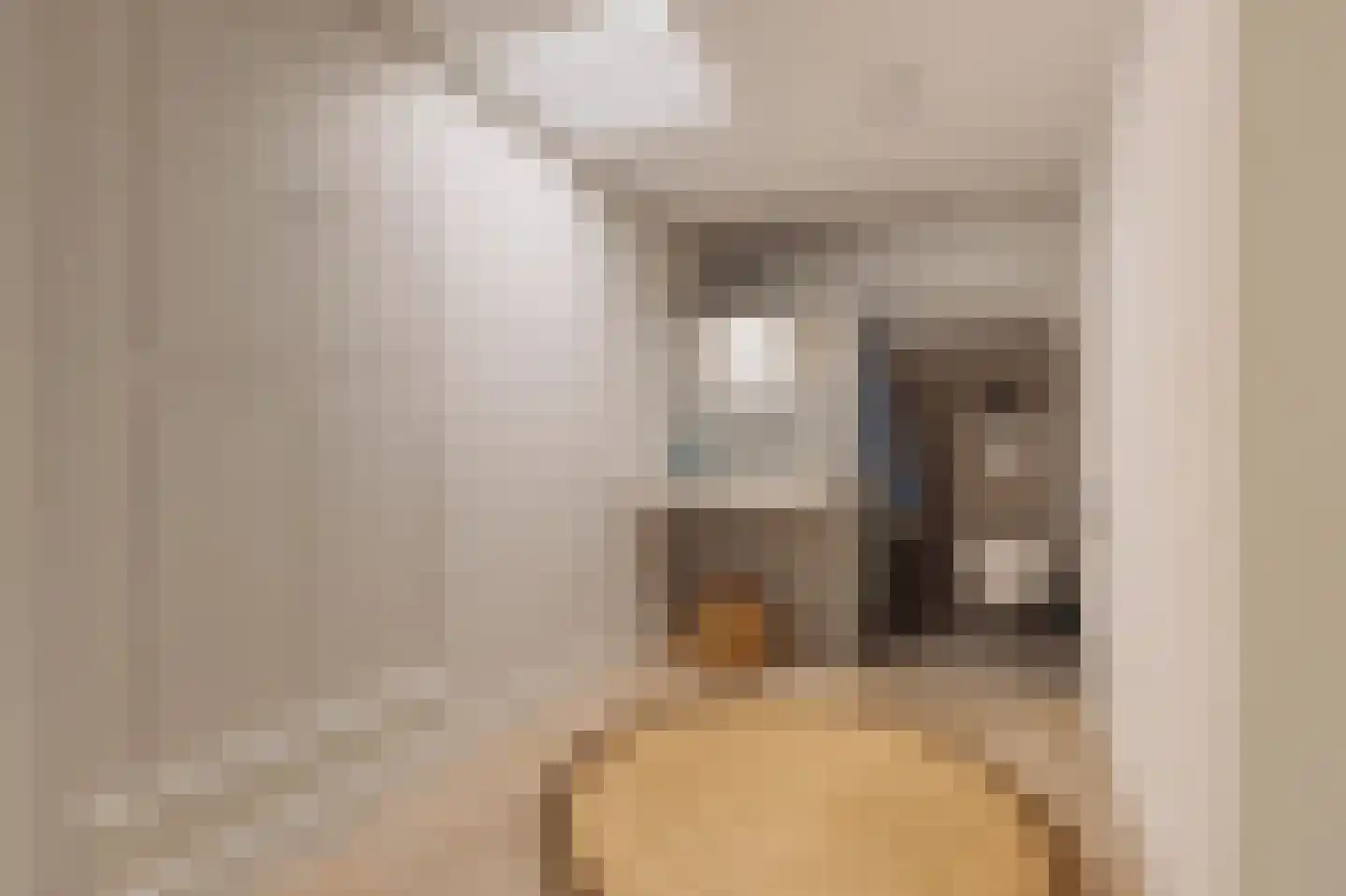 Eerste Bloemdwarsstraat 9 H Amsterdam thumbnail 32
