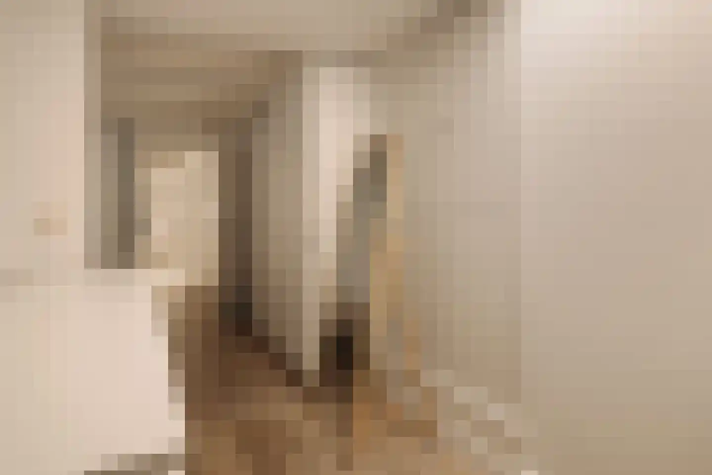 Eerste Bloemdwarsstraat 9 H Amsterdam thumbnail 32