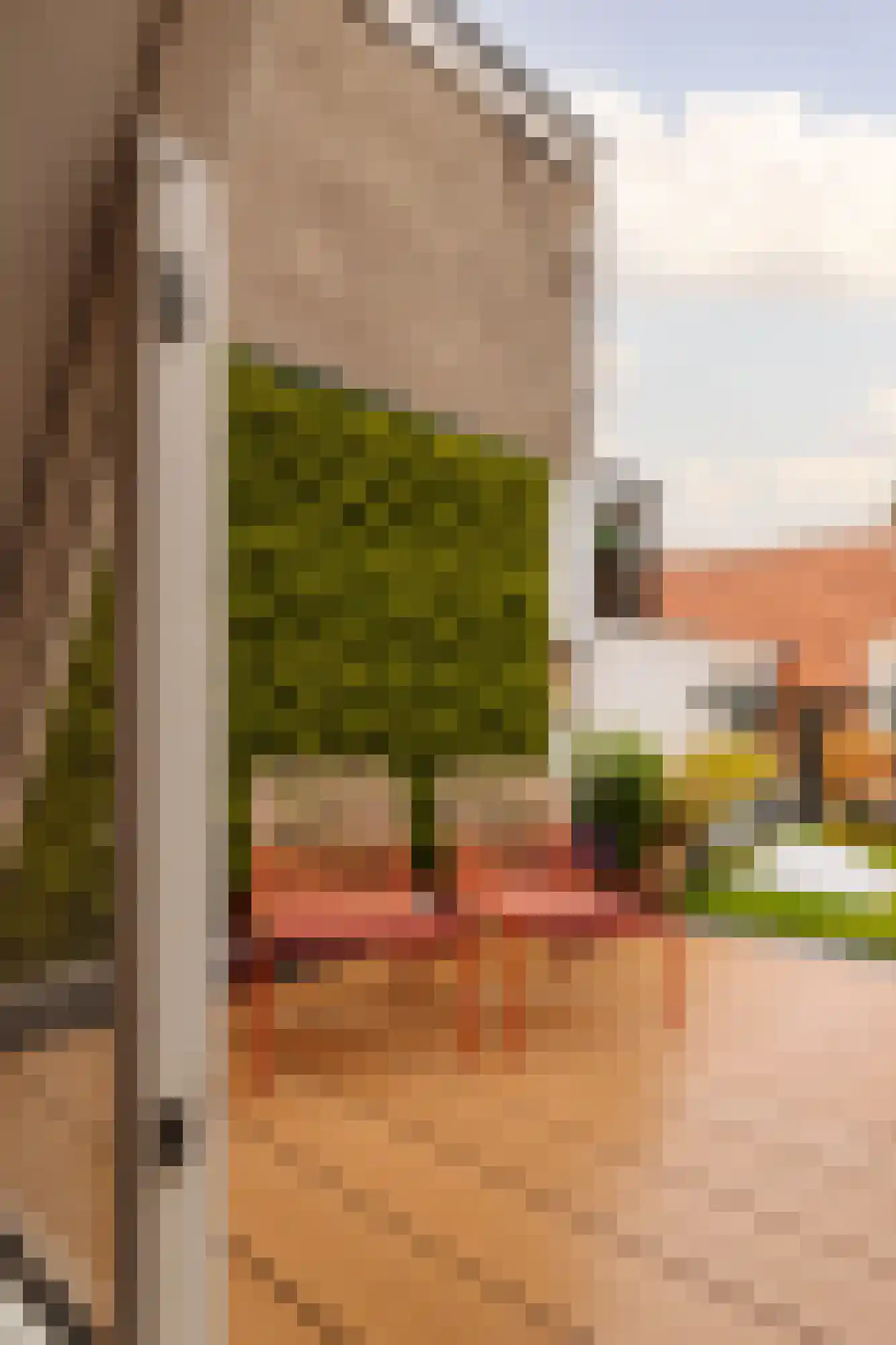 Eerste Bloemdwarsstraat 9 H Amsterdam thumbnail 38