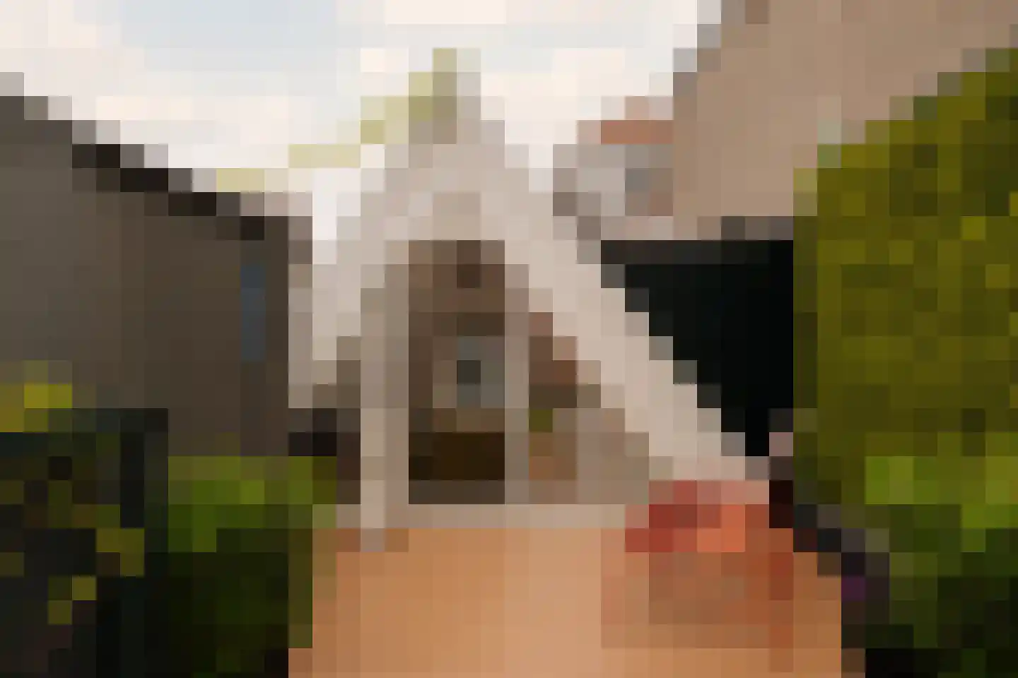 Eerste Bloemdwarsstraat 9 H Amsterdam thumbnail 39