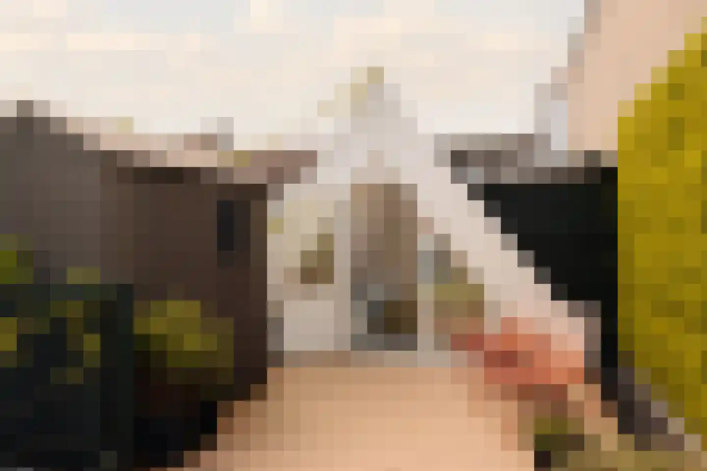 Eerste Bloemdwarsstraat 9 H Amsterdam thumbnail 42