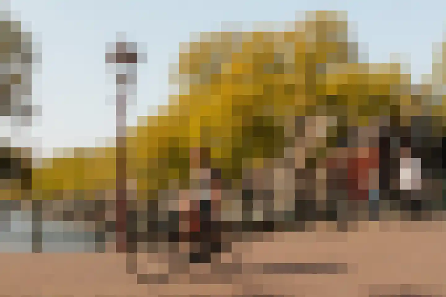 Eerste Bloemdwarsstraat 9 H Amsterdam thumbnail 43