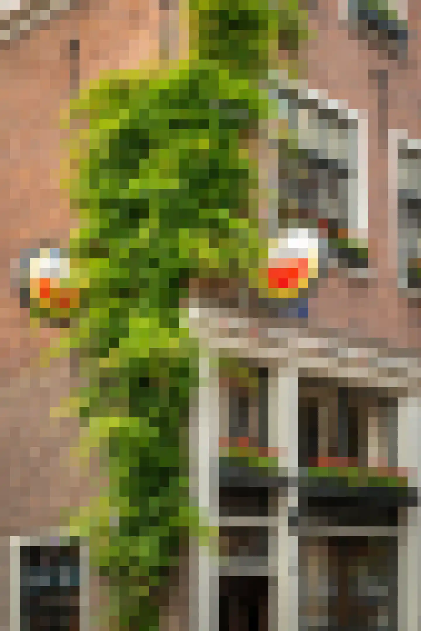 Eerste Bloemdwarsstraat 9 H Amsterdam thumbnail 46