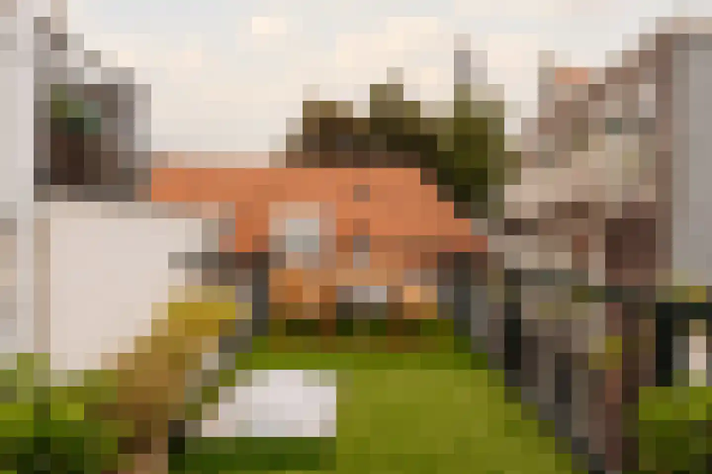 Eerste Bloemdwarsstraat 9 H Amsterdam thumbnail 5