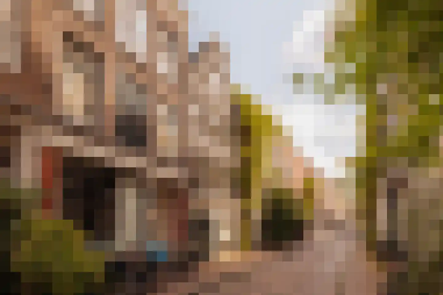 Eerste Bloemdwarsstraat 9 H Amsterdam thumbnail 6