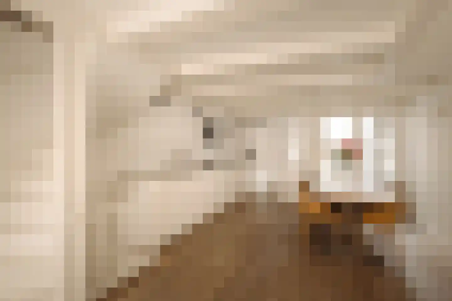 Eerste Bloemdwarsstraat 9 H Amsterdam thumbnail 8