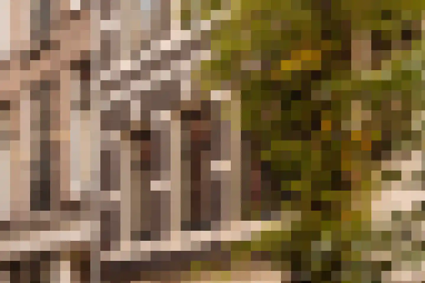 Eerste Bloemdwarsstraat 9 H Amsterdam thumbnail 8