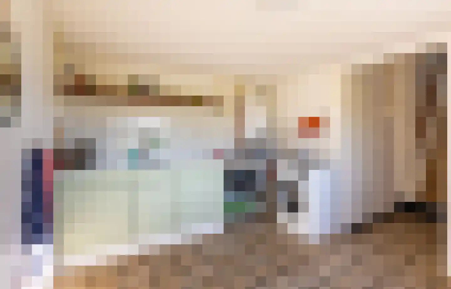 Eerste Blokweg 19 Vroomshoop thumbnail 10