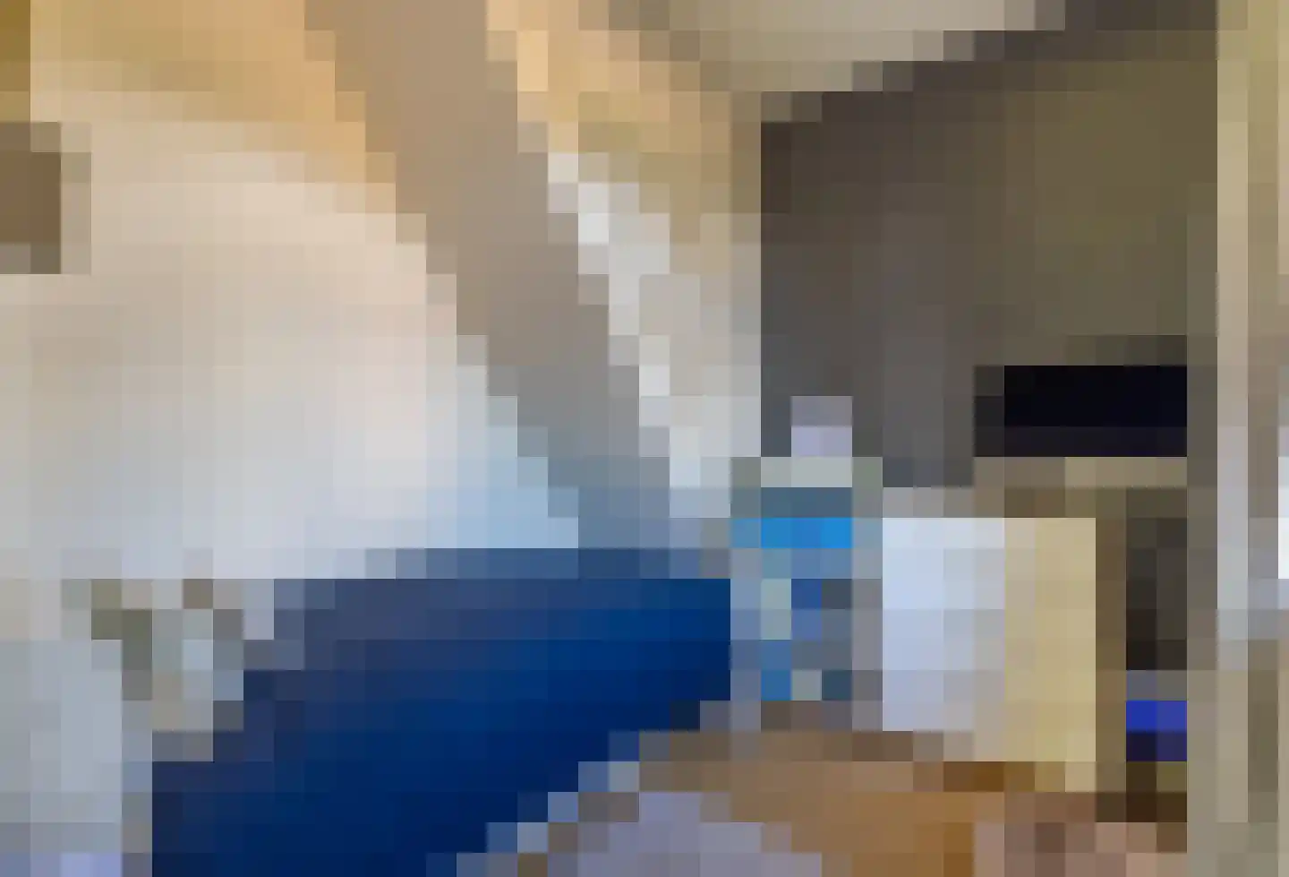 Eerste Blokweg 19 Vroomshoop thumbnail 11