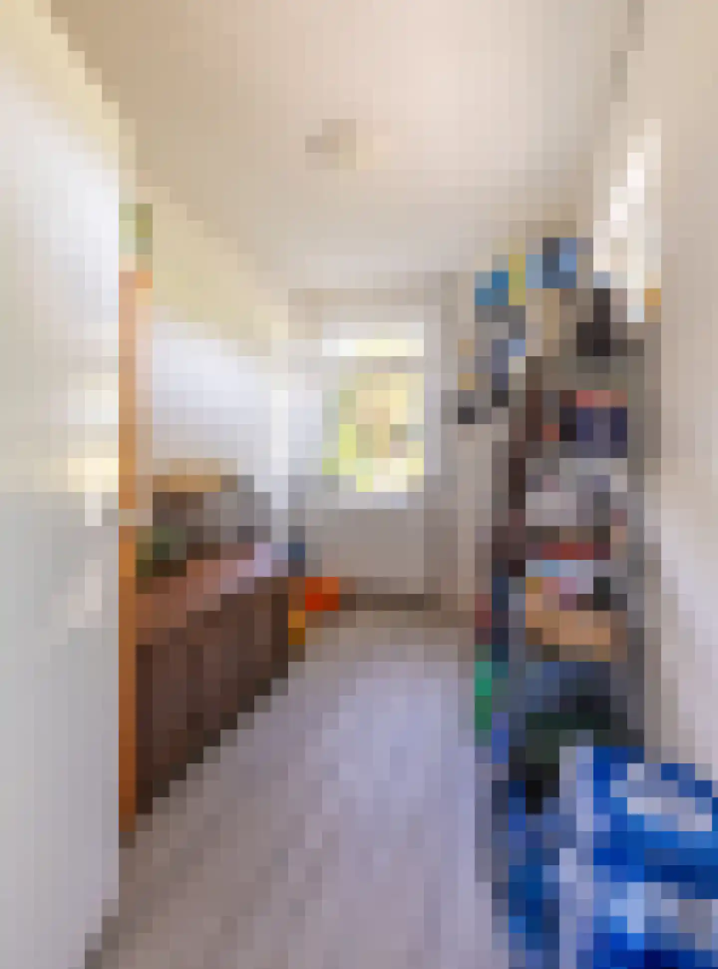 Eerste Blokweg 19 Vroomshoop thumbnail 12