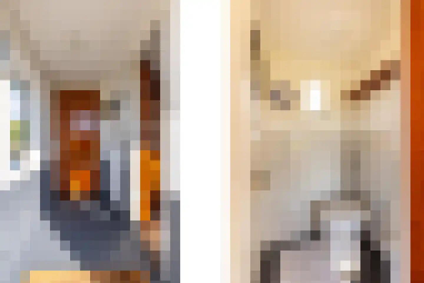 Eerste Blokweg 19 Vroomshoop thumbnail 13