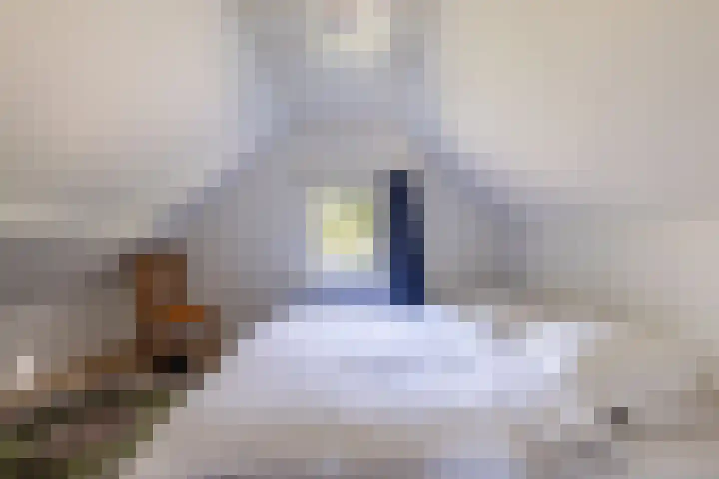 Eerste Blokweg 19 Vroomshoop thumbnail 15