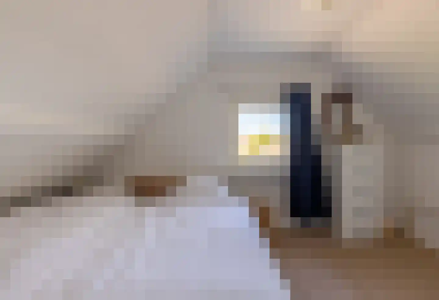 Eerste Blokweg 19 Vroomshoop thumbnail 16