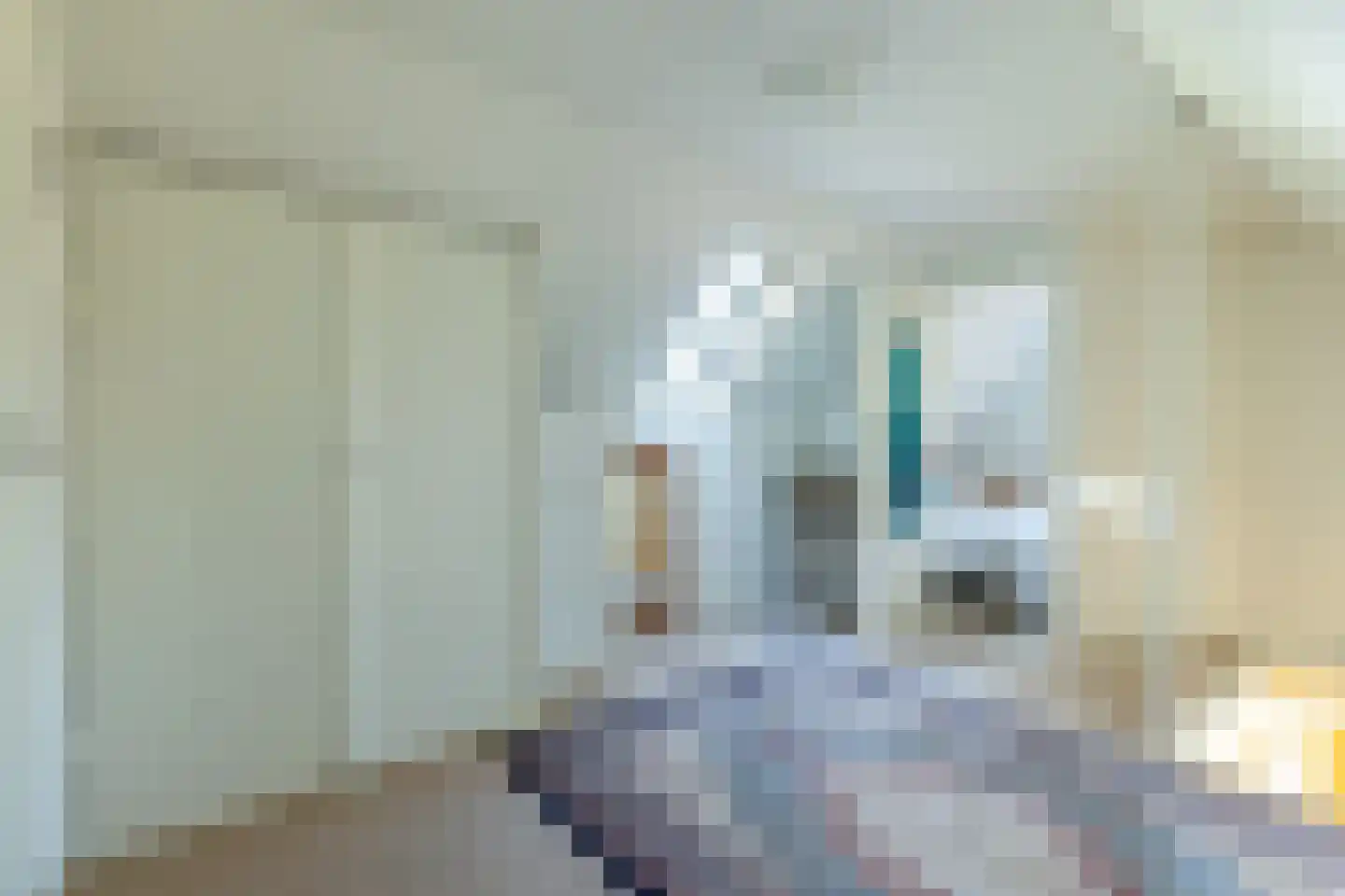 Eerste Blokweg 19 Vroomshoop thumbnail 17