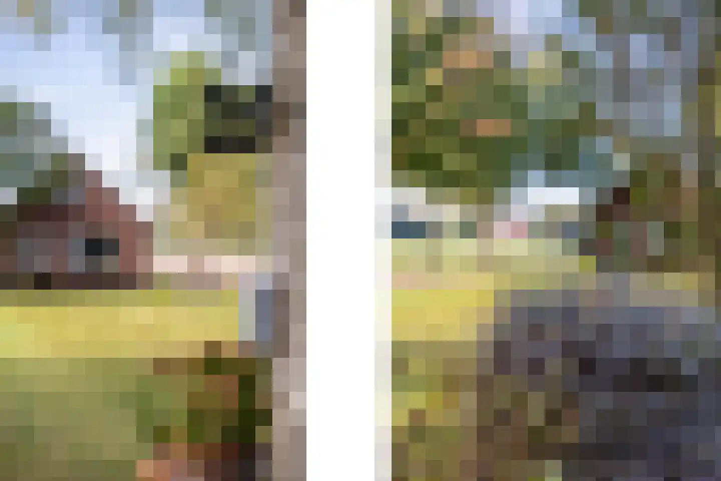 Eerste Blokweg 19 Vroomshoop thumbnail 18