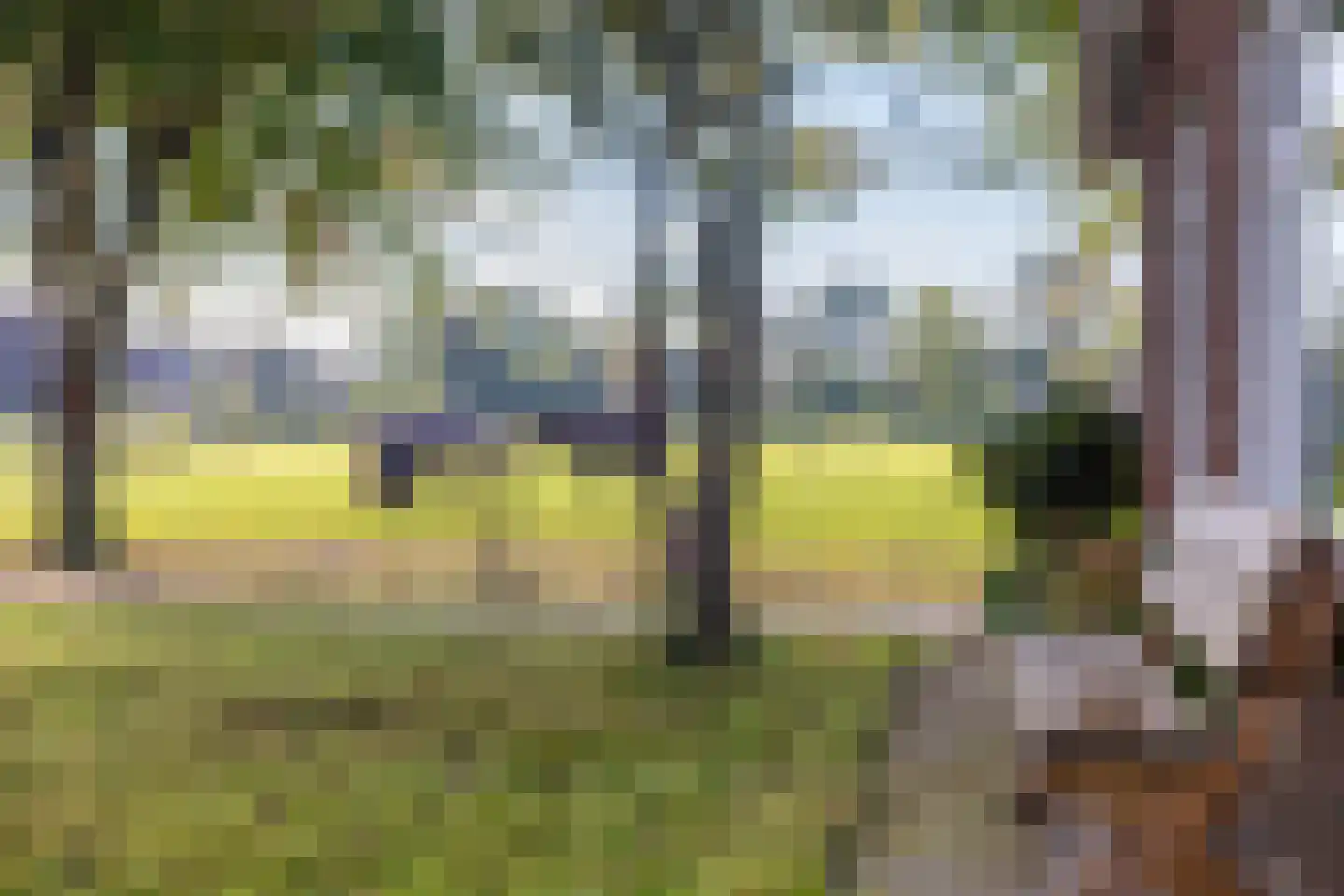 Eerste Blokweg 19 Vroomshoop thumbnail 19