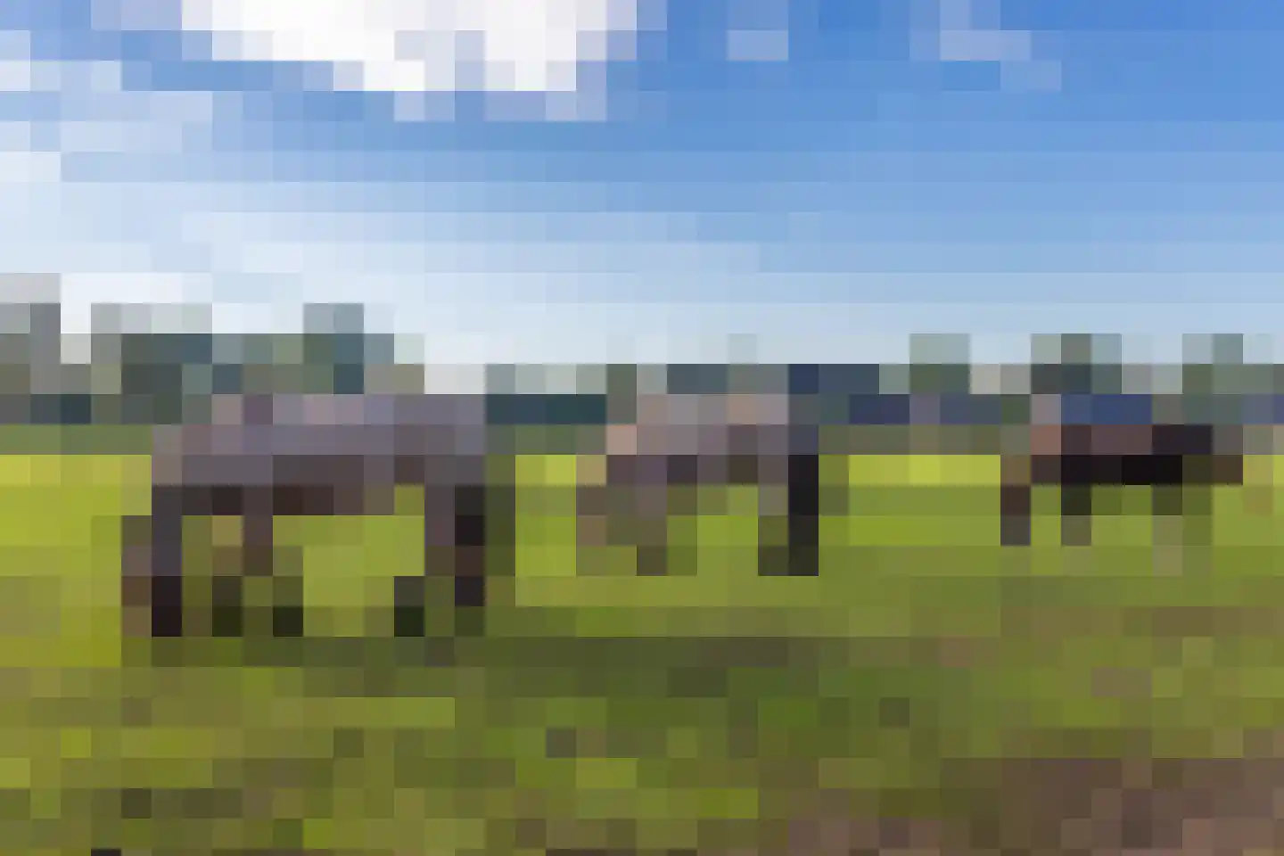 Eerste Blokweg 19 Vroomshoop thumbnail 21