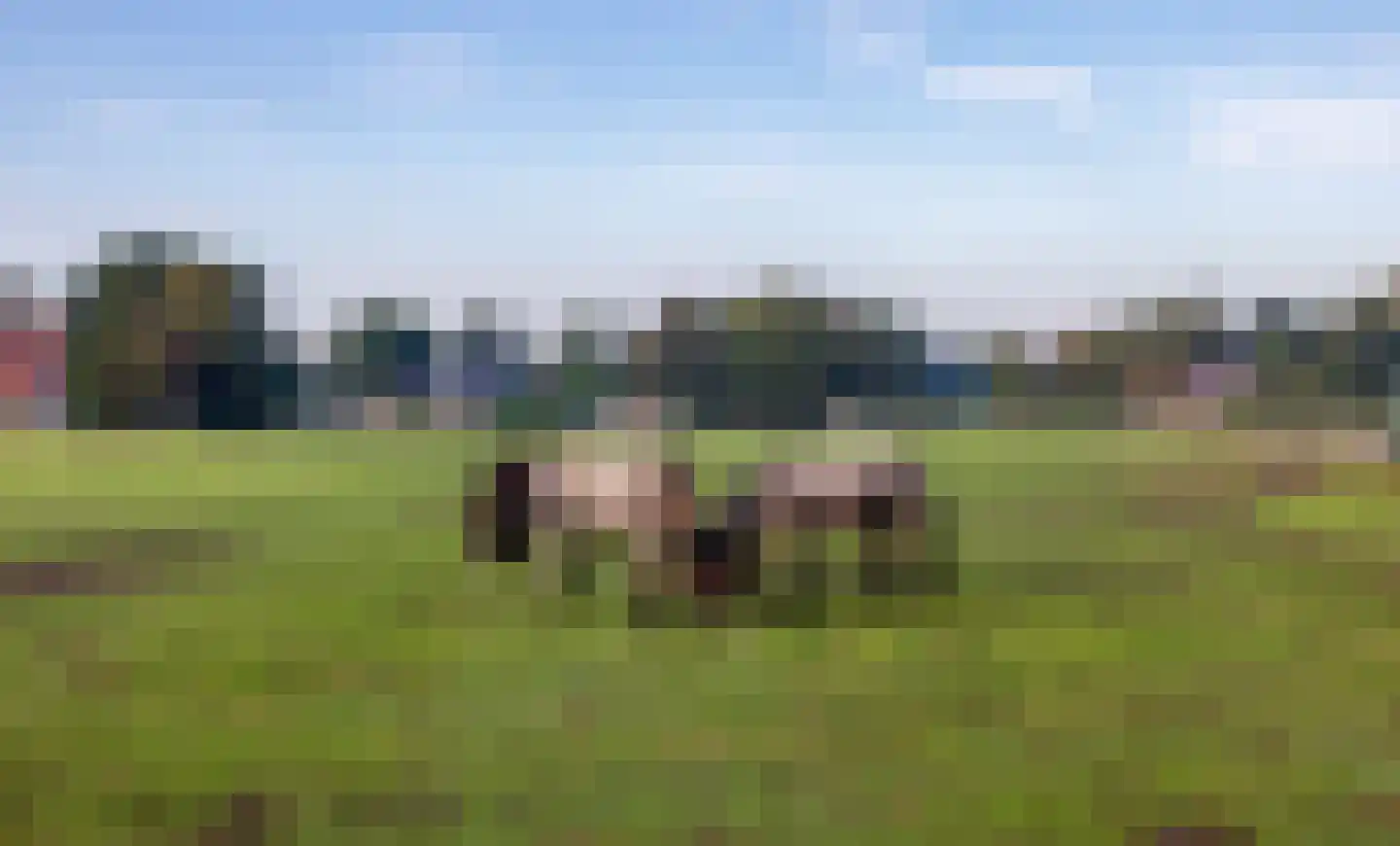 Eerste Blokweg 19 Vroomshoop thumbnail 22