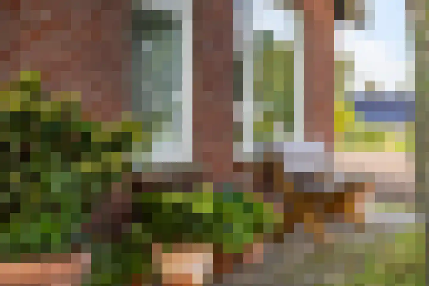 Eerste Blokweg 19 Vroomshoop thumbnail 23