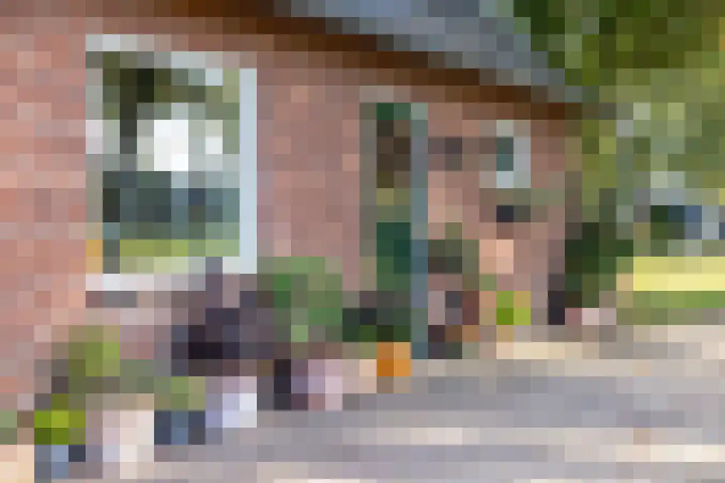 Eerste Blokweg 19 Vroomshoop thumbnail 25