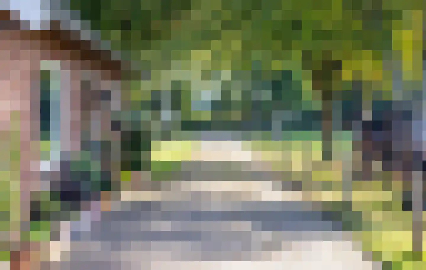Eerste Blokweg 19 Vroomshoop thumbnail 26