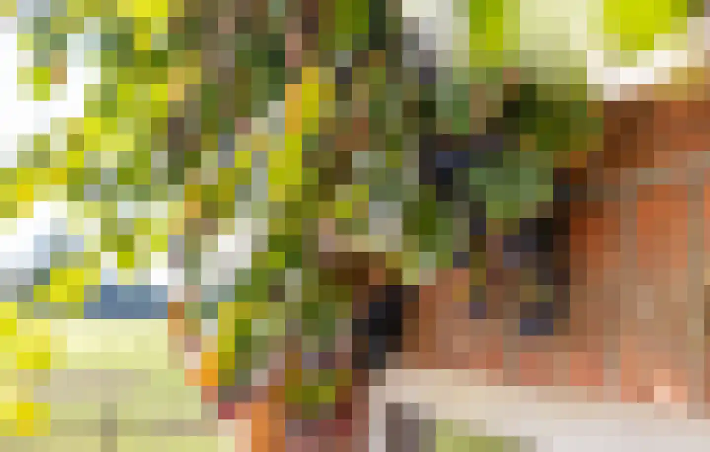 Eerste Blokweg 19 Vroomshoop thumbnail 27