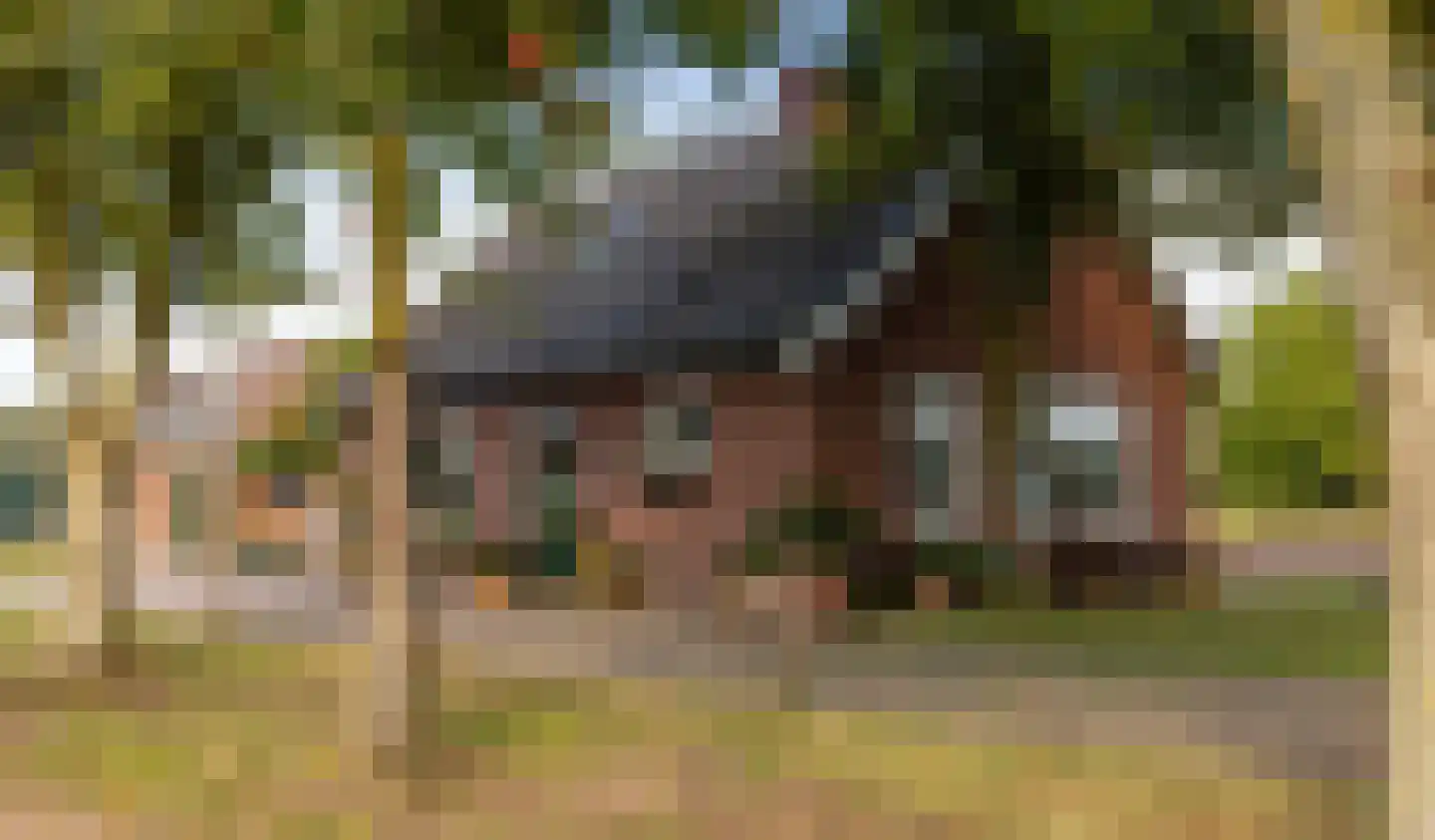 Eerste Blokweg 19 Vroomshoop foto 3