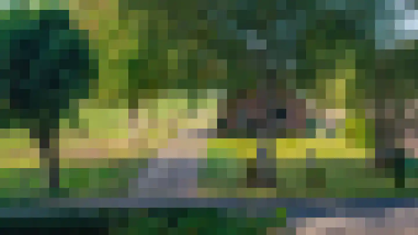 Eerste Blokweg 19 Vroomshoop thumbnail 30