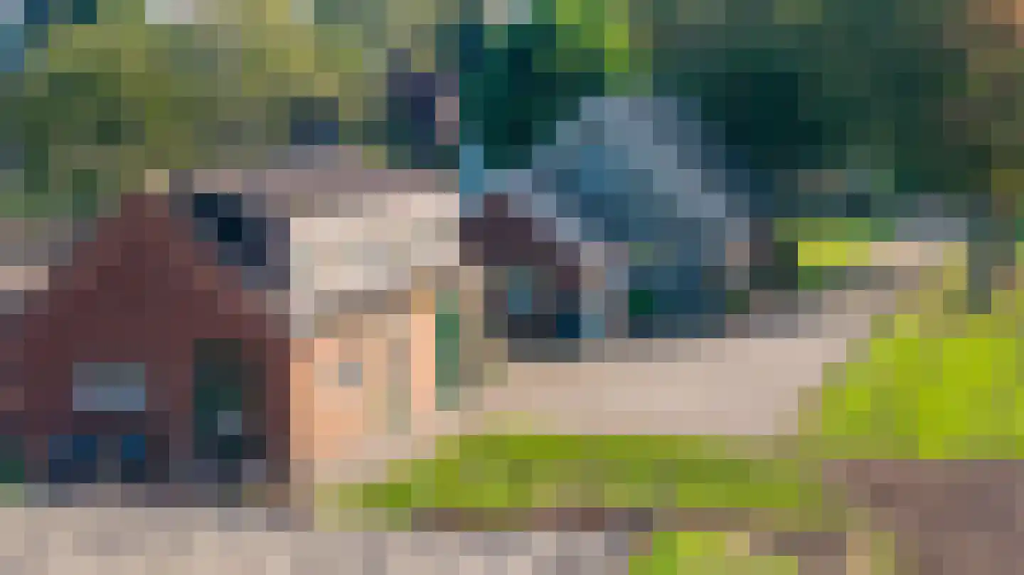 Eerste Blokweg 19 Vroomshoop thumbnail 31