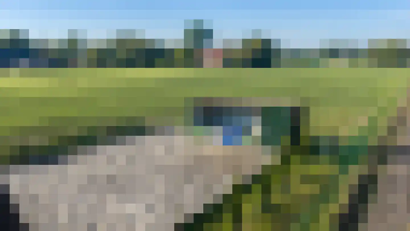 Eerste Blokweg 19 Vroomshoop thumbnail 32