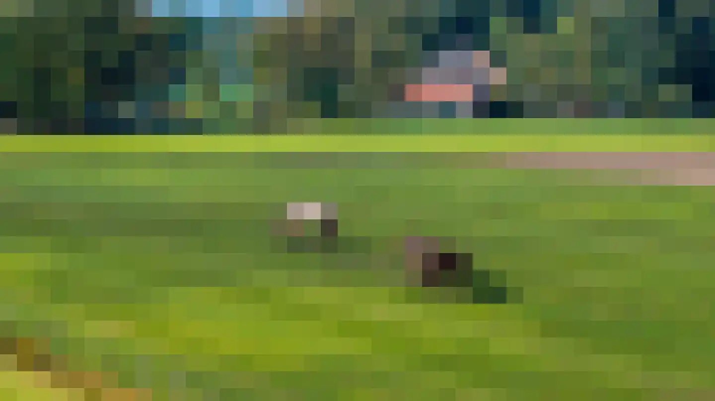 Eerste Blokweg 19 Vroomshoop thumbnail 33