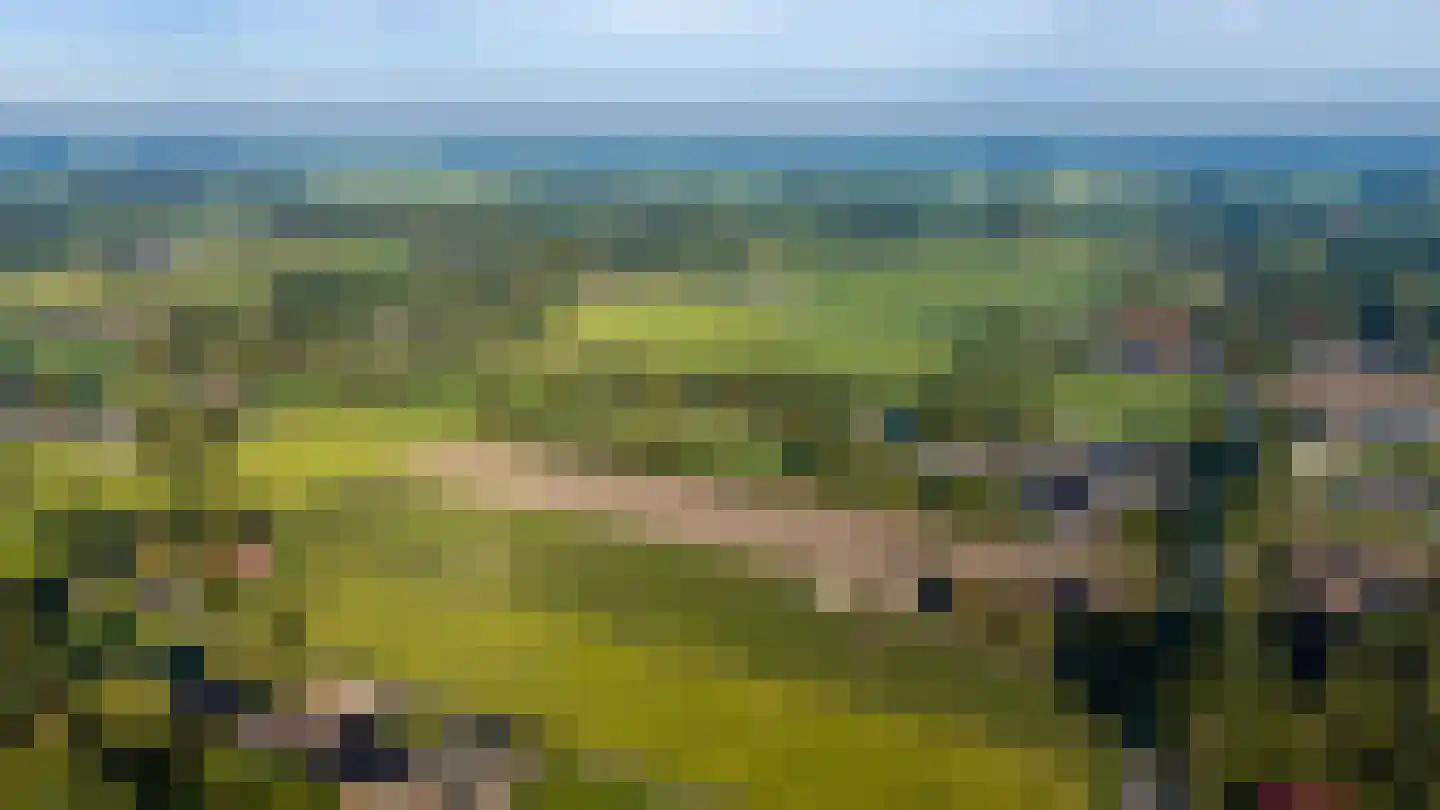 Eerste Blokweg 19 Vroomshoop thumbnail 34