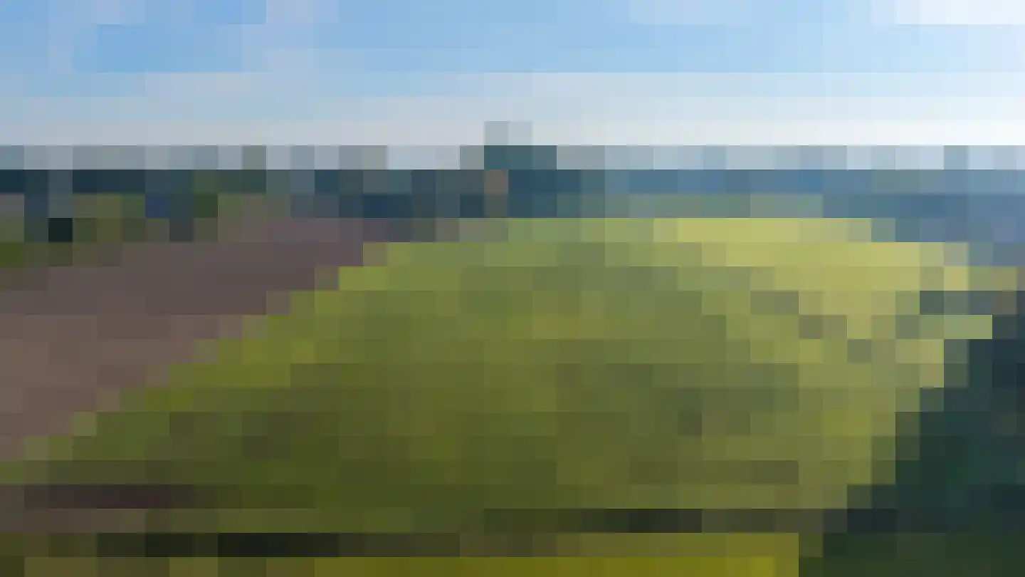 Eerste Blokweg 19 Vroomshoop thumbnail 37