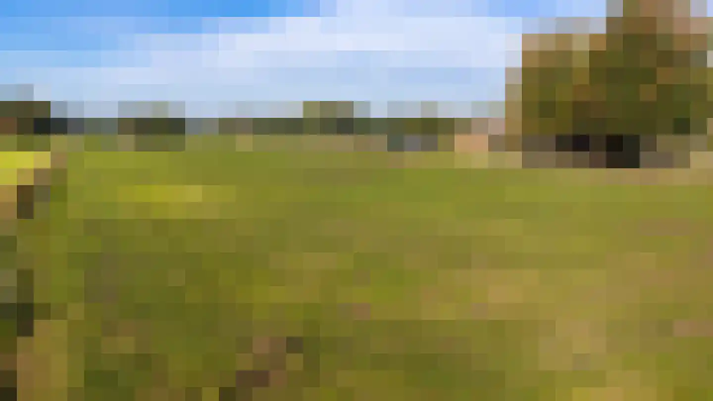 Eerste Blokweg 19 Vroomshoop thumbnail 38